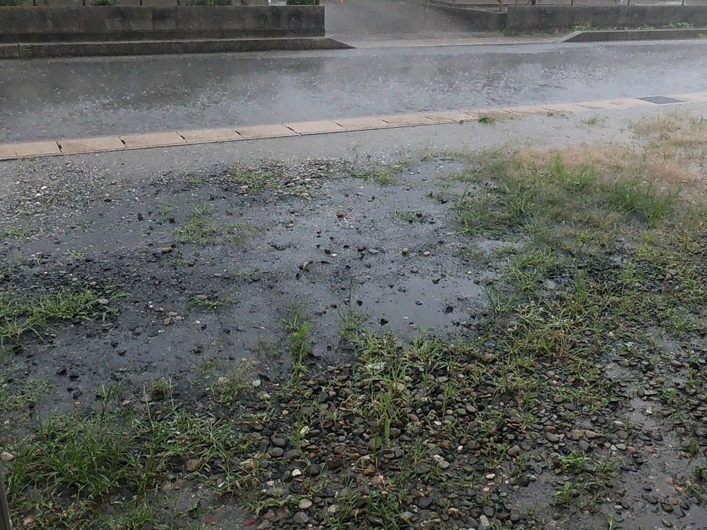 作業場前 大雨