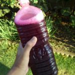 プレゼントいただきました