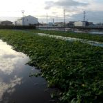 今年１番のピンチ