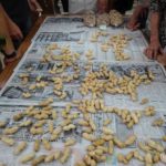 ジャンボ落花生、目揃会