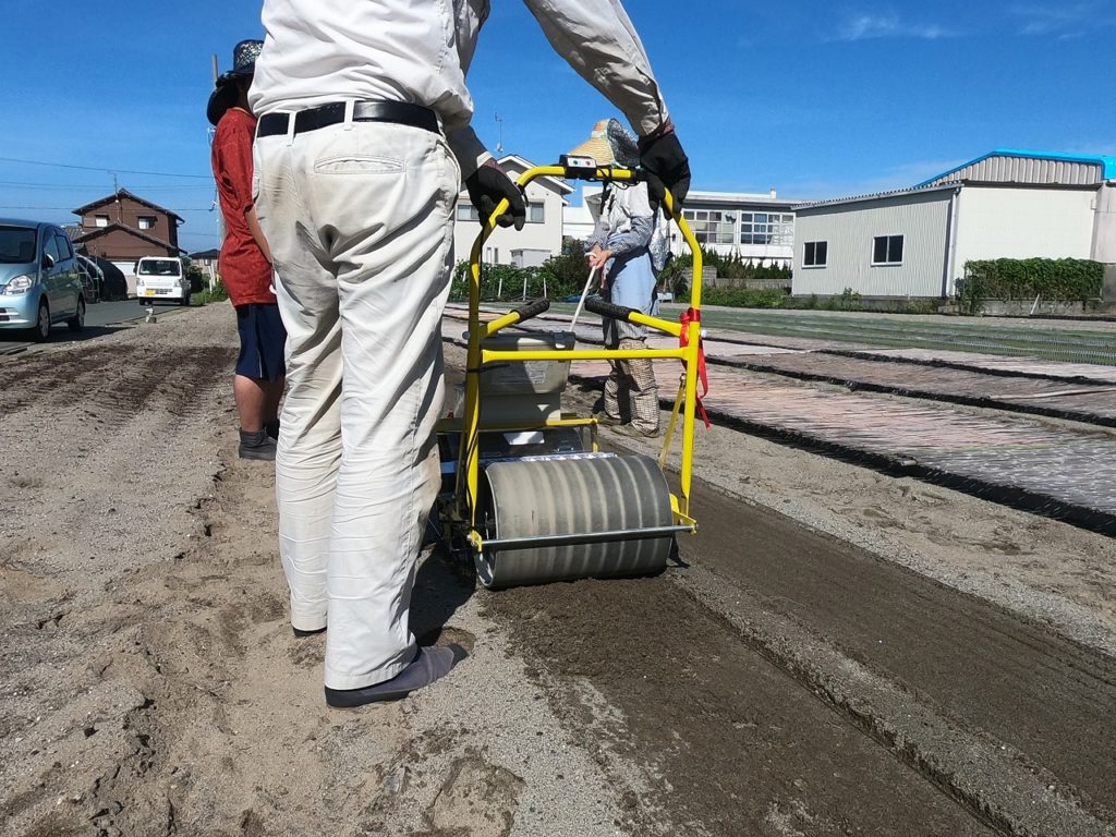 新玉ねぎの種まき作業