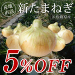 浜松篠原産新玉ねぎ１２月２日０時より予約販売受付開始
