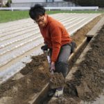 側溝の砂出し、またの名をドブ掃除