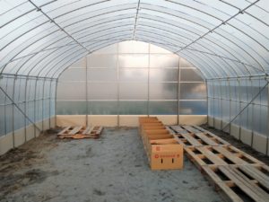 ビニールハウス内部