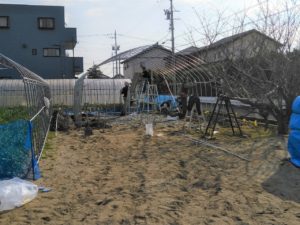 ビニールハウス建設作業