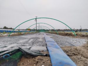 トンネルアーチ、下から撮影