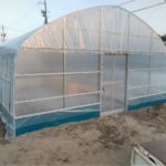 ビニールハウス完成　クイズもあるよ！