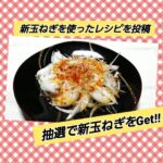 えんちょークエスト第１弾