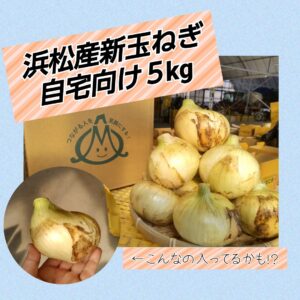 浜松篠原産新玉ねぎ自宅向け5kg