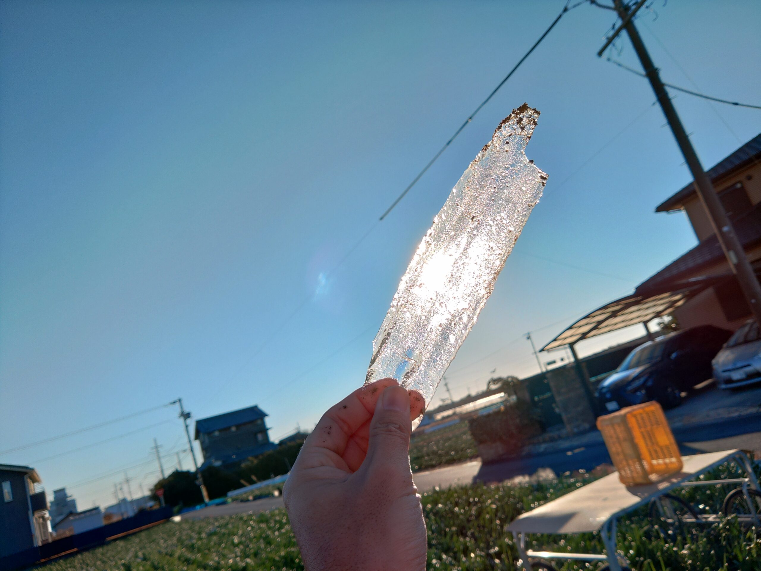 凍る畑、凍らない新玉ねぎ