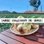 令和5年産、新玉ねぎの予約受付開始！